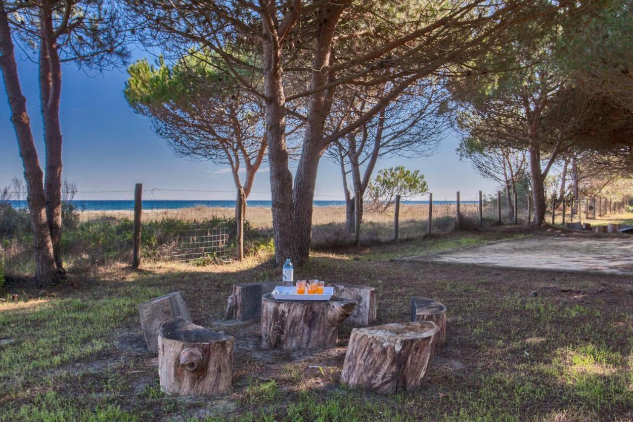 Maisons Bord De Mer- Marine De Sorbo - Gites 3 Epis Pinarellu 외부 사진